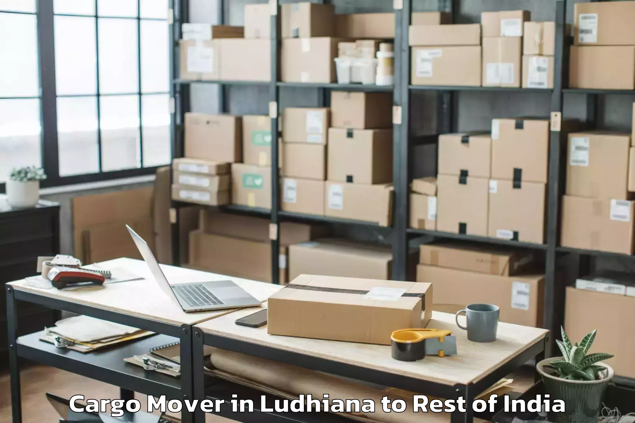 Top Ludhiana to Hunli Cargo Mover Available